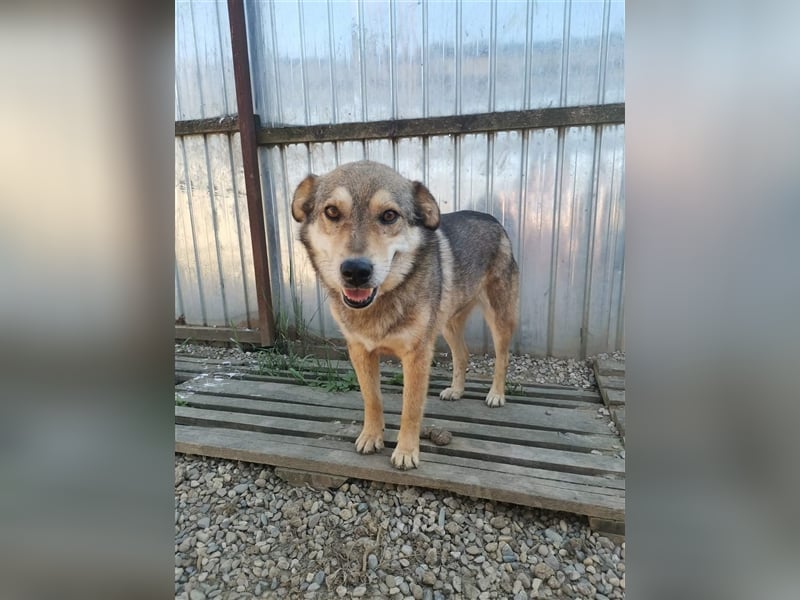 Max - wartet schon sooo lange