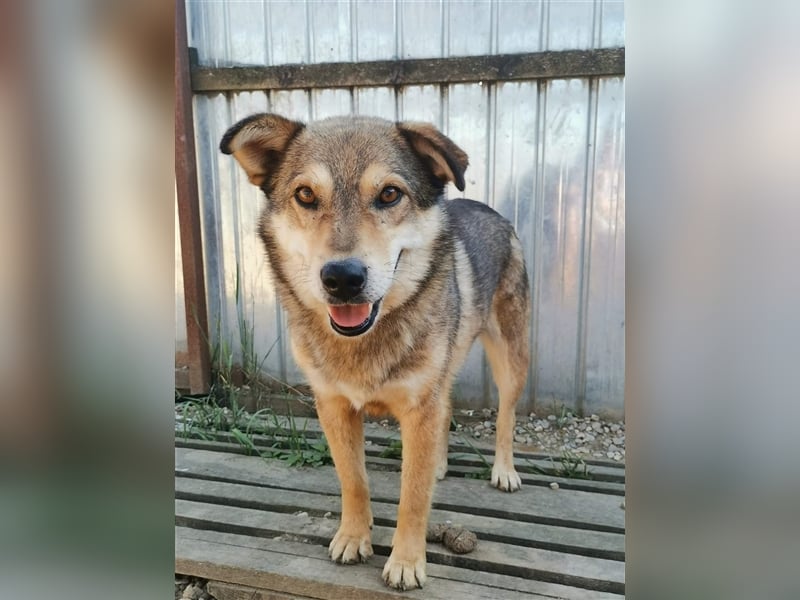 Max - wartet schon sooo lange