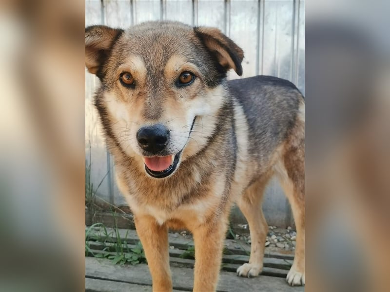 Max - wartet schon sooo lange