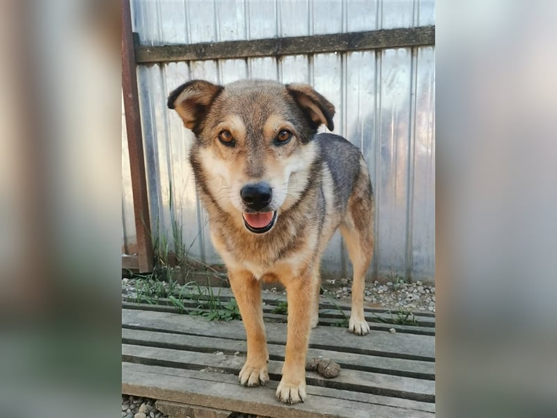 Max - wartet schon sooo lange