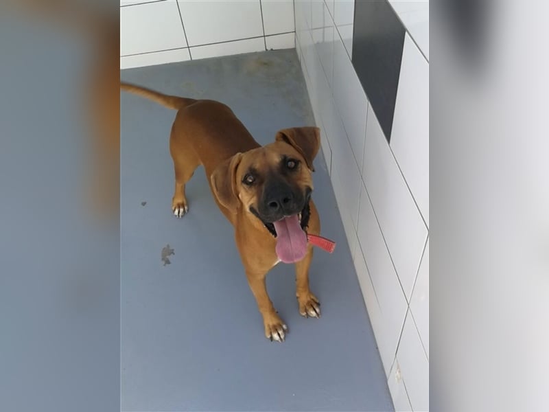 FILOS sucht ein Zuhause