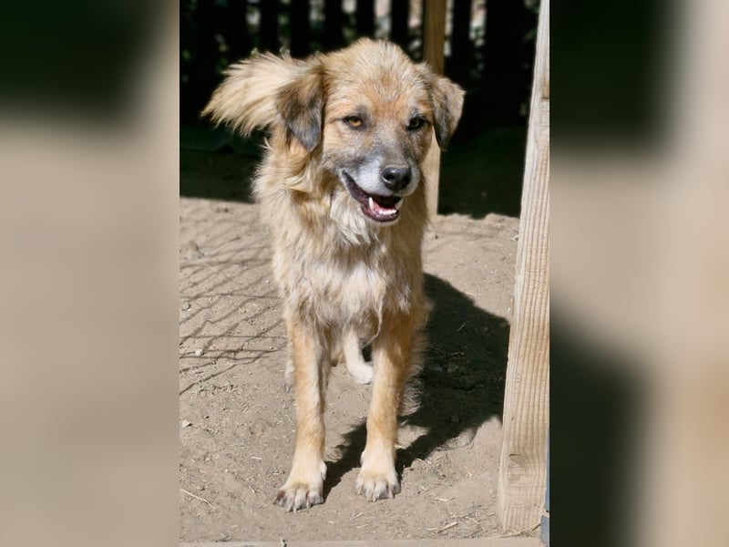 DUKE - 45-50cm, sehr freundlich und aufgeschlossen