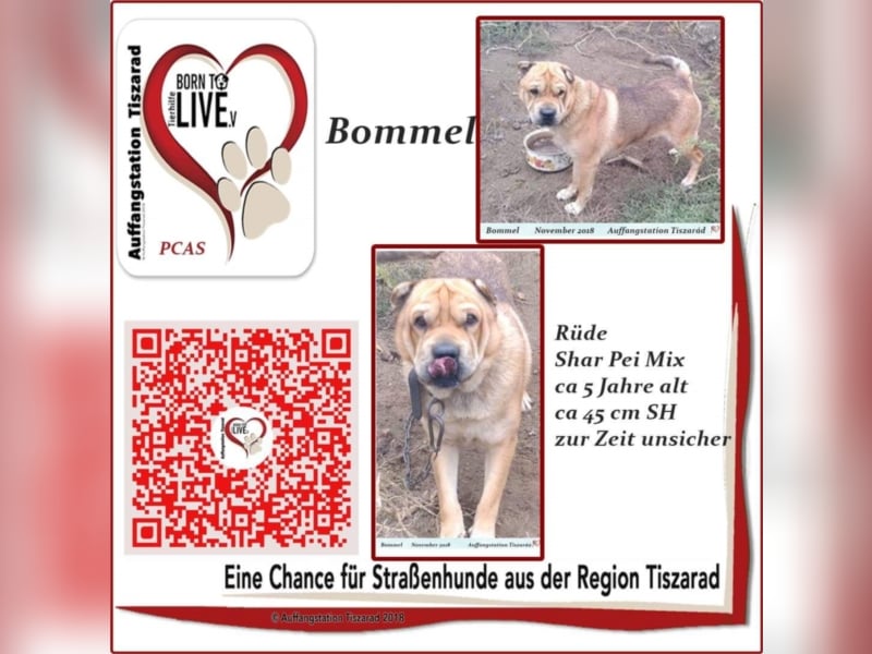 Bommel