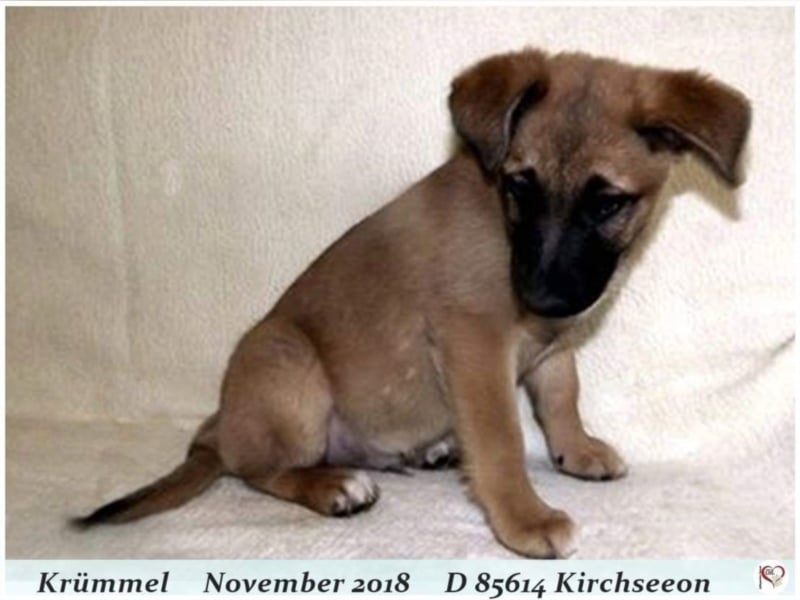 Krümmel