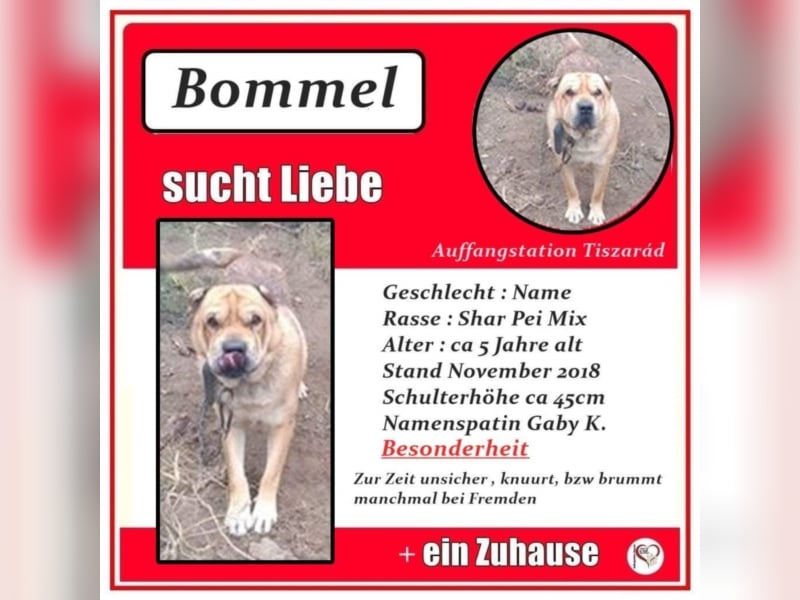 Bommel