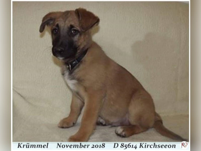 Krümmel
