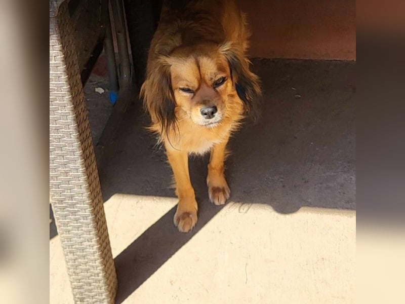 TUCO - so ein toller Schatz