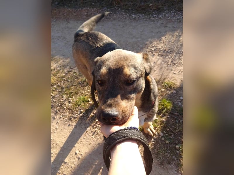 BRUNO - so ein toller Kerl
