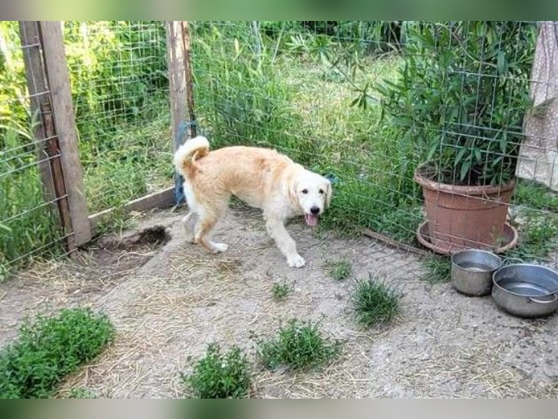 LUCA - ist bereit für Abenteuer
