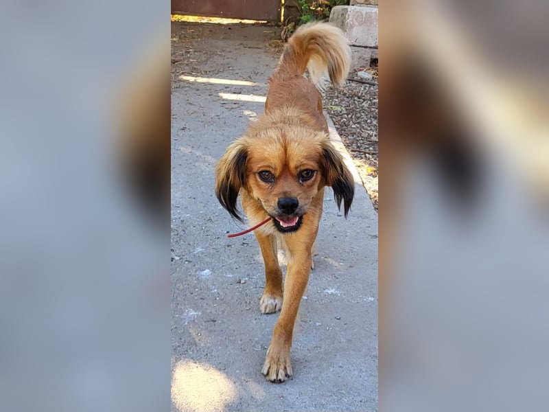 TUCO - so ein toller Schatz