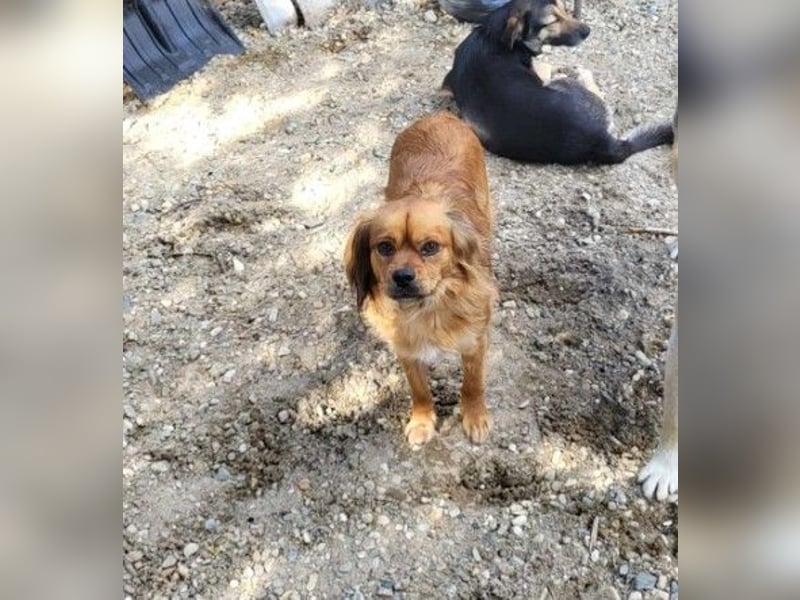 TUCO - so ein toller Schatz