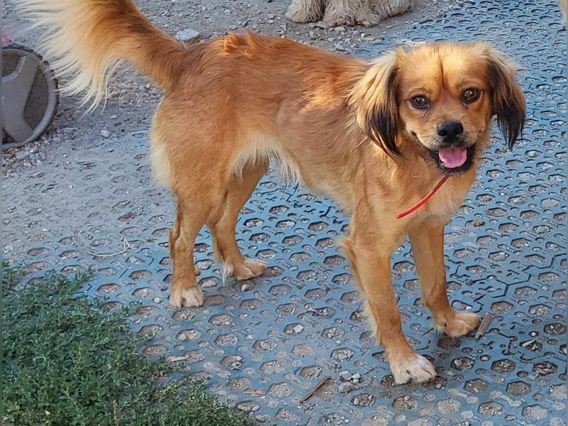 TUCO - so ein toller Schatz