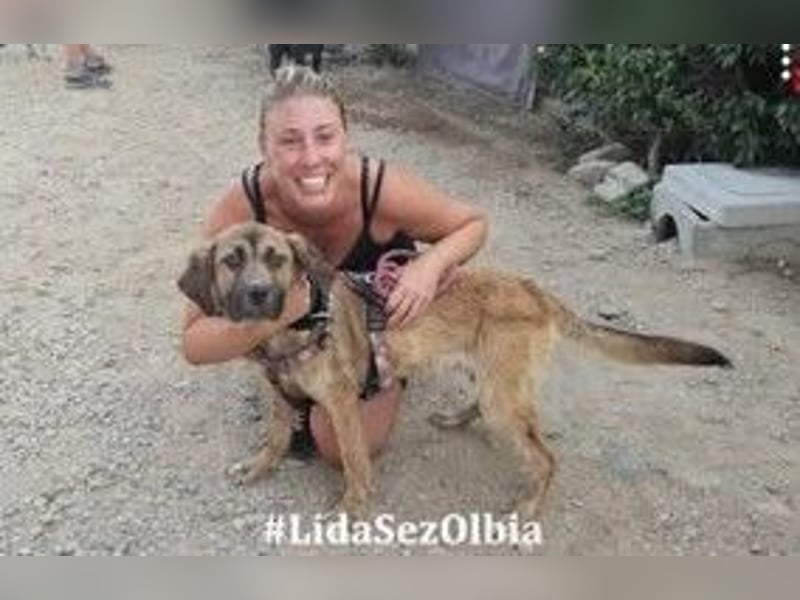Luca: 1000 Schutzengel - und jetzt?
