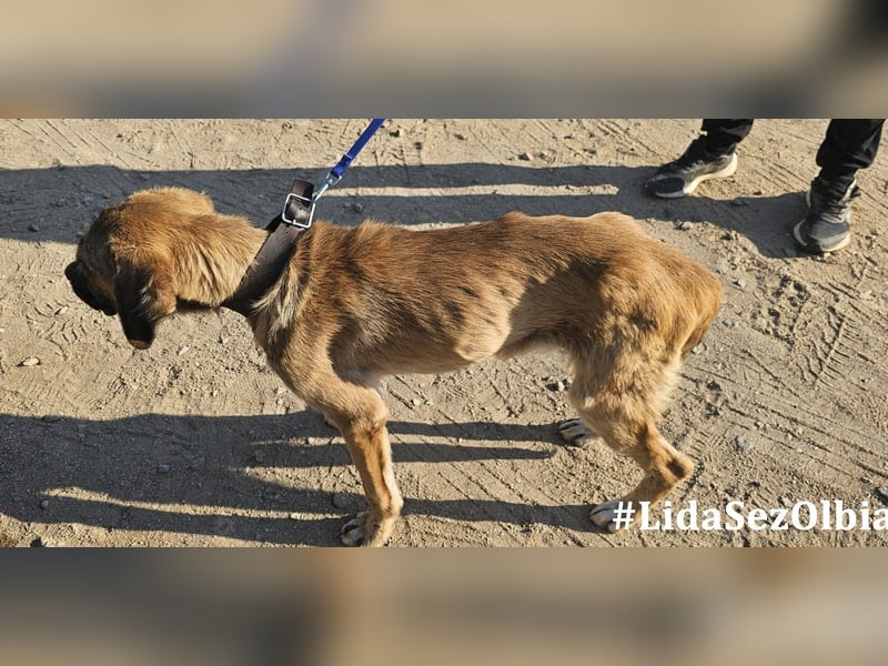 Luca: 1000 Schutzengel - und jetzt?