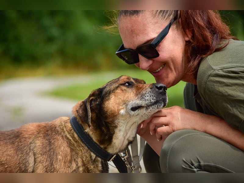 Aron ist ein ruhiger Hundeherr