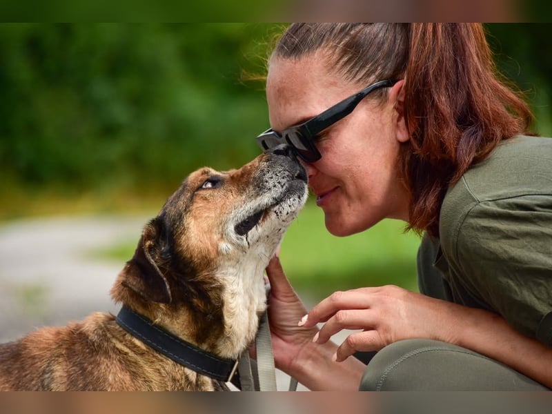 Aron ist ein ruhiger Hundeherr