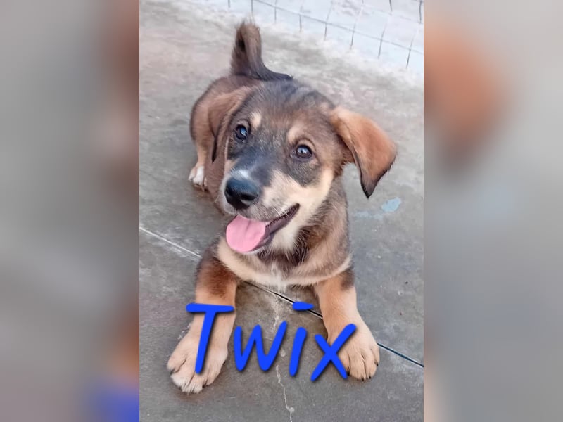 Unser süßer TWIX