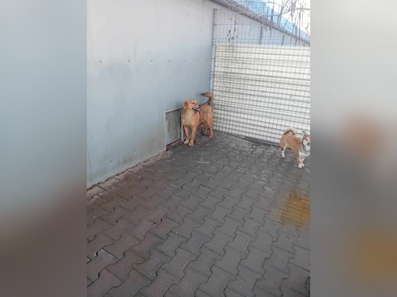 Unser wunderschöner Emilio