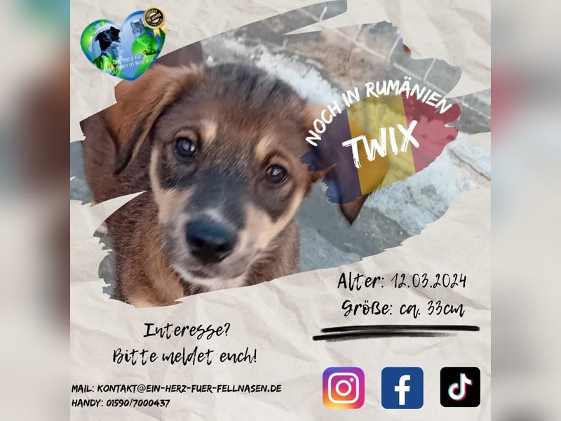 Unser süßer TWIX