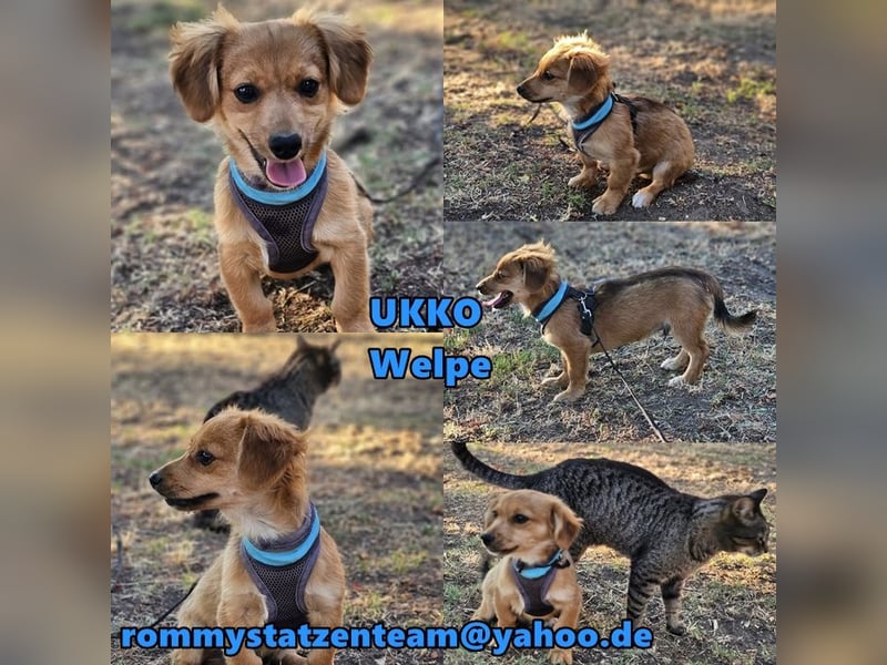 Ukko möchte noch viel lernen und erleben