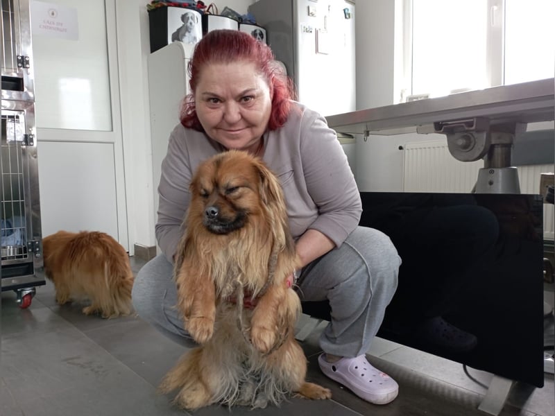 Moritz - sucht seine Familie!