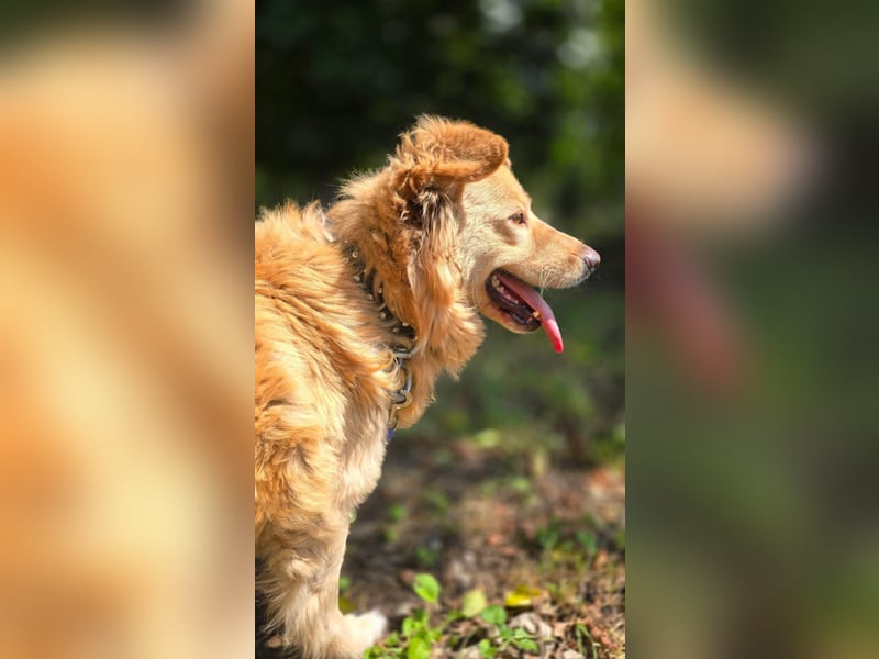 Axel - der Schatz!