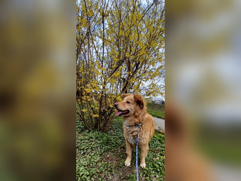 Axel - der Schatz!