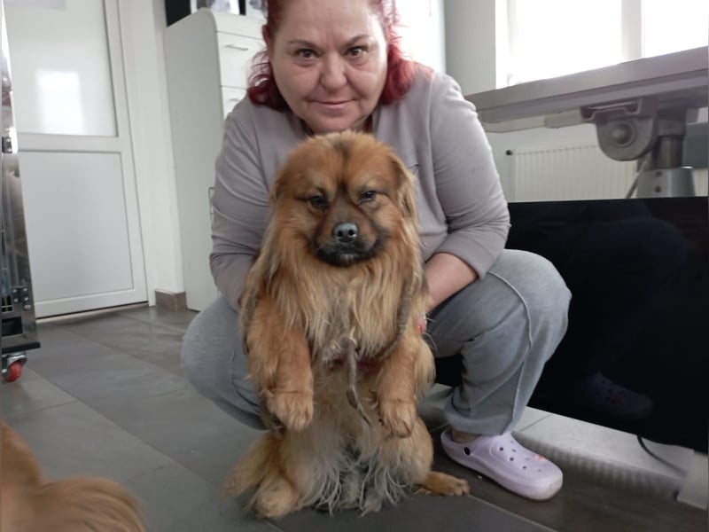 Moritz - sucht seine Familie!