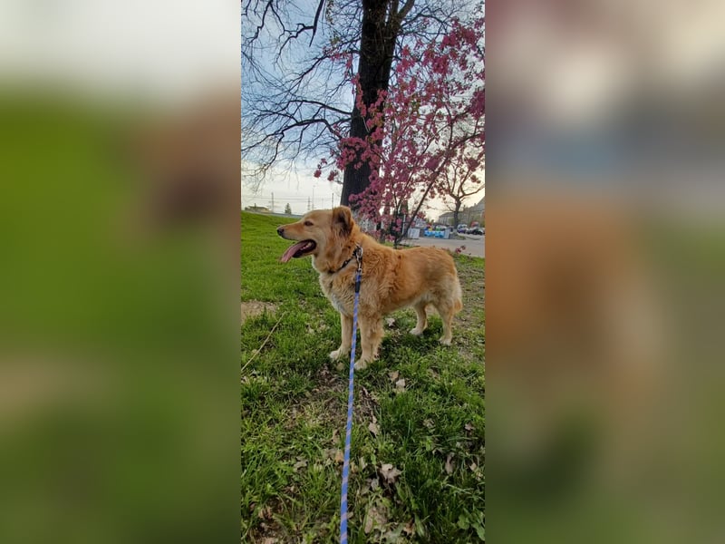 Axel - der Schatz!