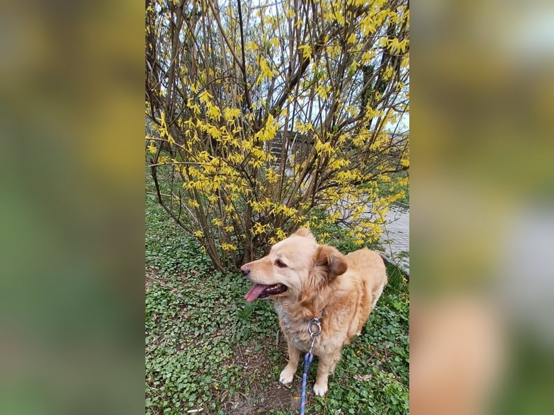 Axel - der Schatz!
