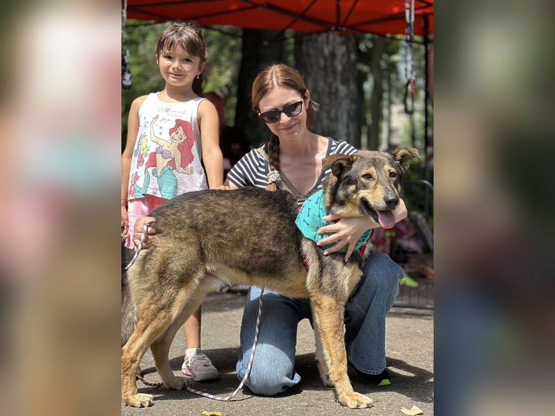 Sanfter Loki sucht liebevolles Zuhause
