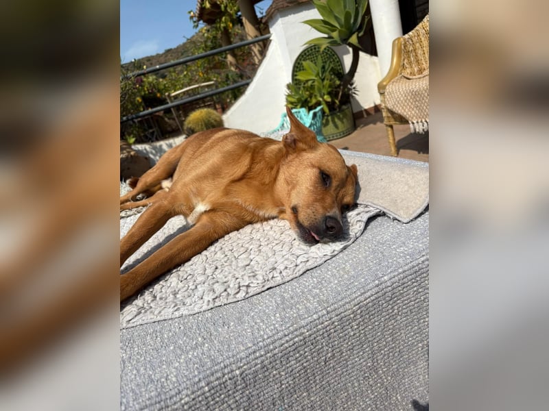 SUSI und PACO – freundliches Duo