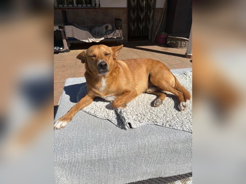 SUSI und PACO – freundliches Duo