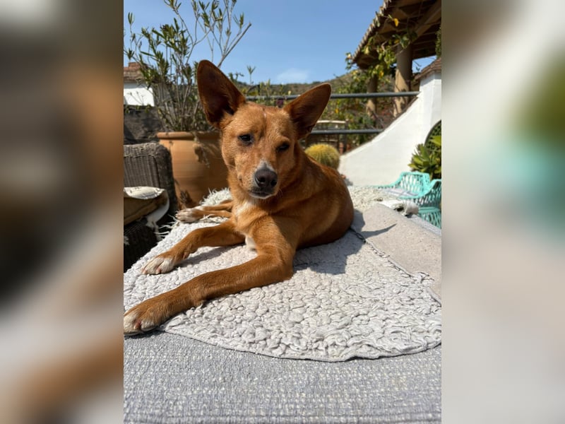 SUSI und PACO – freundliches Duo