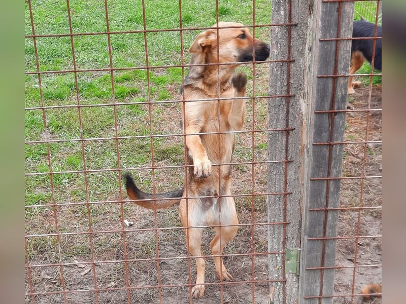 Jupiter sucht ein Zuhause