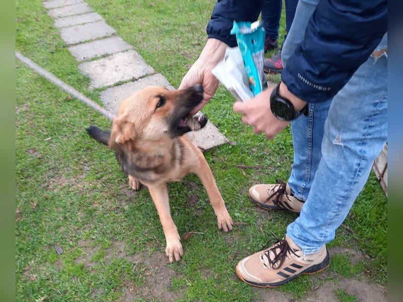 Jupiter sucht ein Zuhause