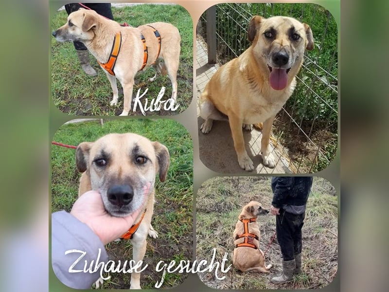 Kuba sucht dringend seine Menschen