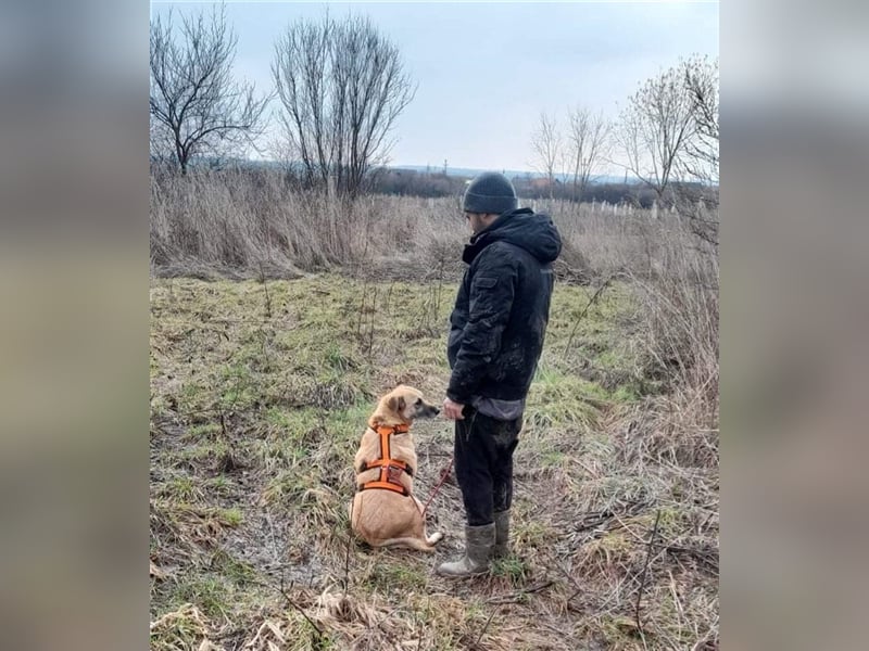 Kuba sucht dringend seine Menschen