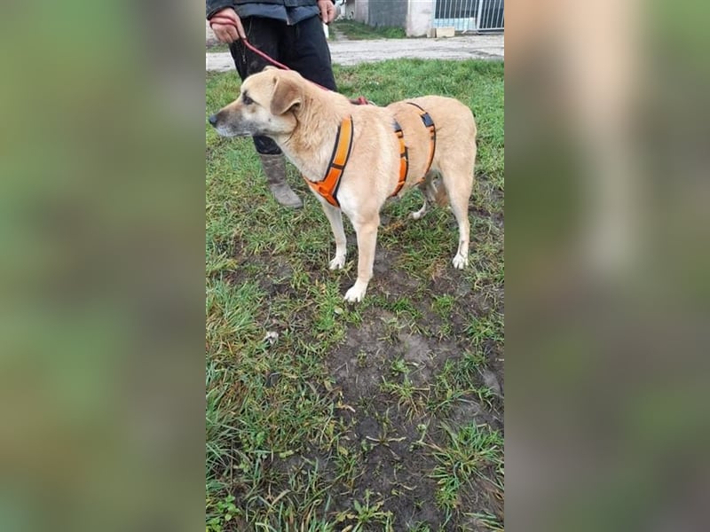 Kuba sucht dringend seine Menschen