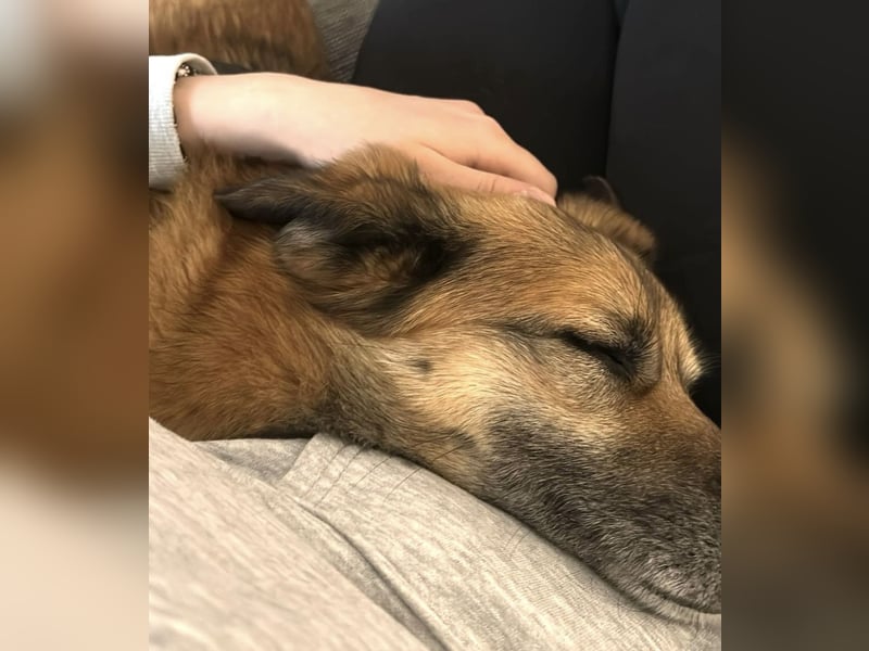 Rossi sucht seine Familue