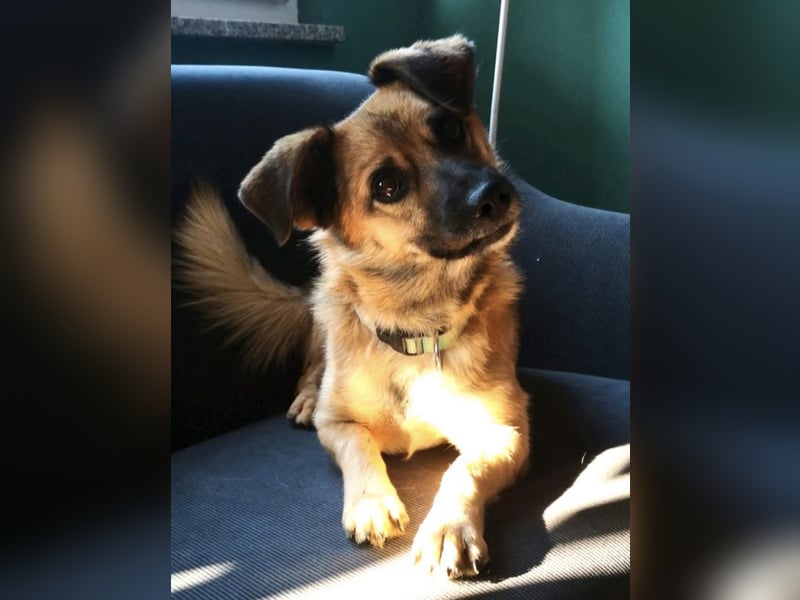 Rossi sucht seine Familue