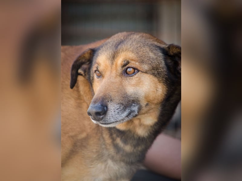 RAMBO sucht liebevolles Zuhause