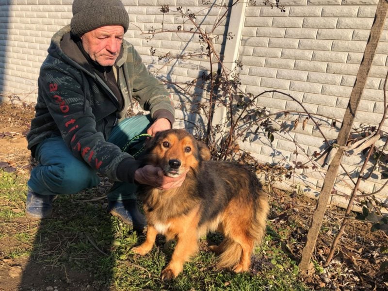 Unser Benny wünscht sich seine eigene Familie