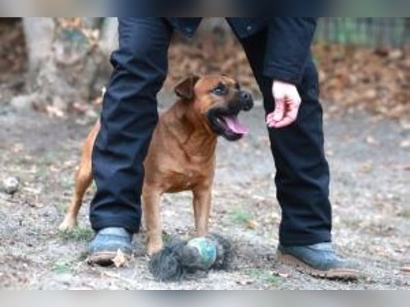 Fritzi, neu angekommen