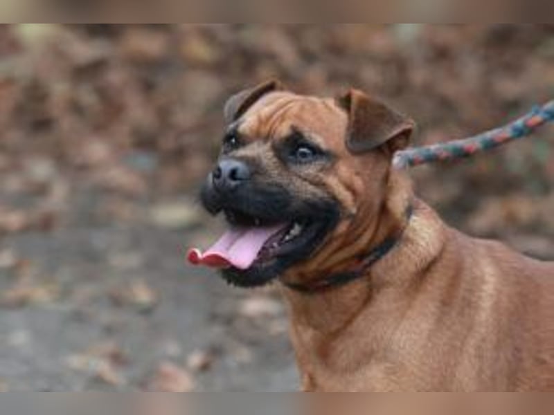 Fritzi, neu angekommen