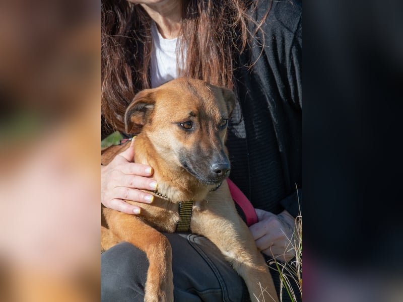 Pepper – ein kleines Sensibelchen