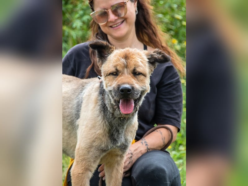 Daiki – ein lieber Wuschelhund
