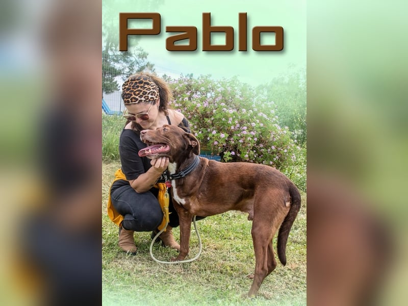 Pablo – fit trotz Handicap