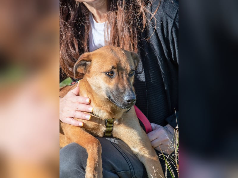 Pepper – ein kleines Sensibelchen