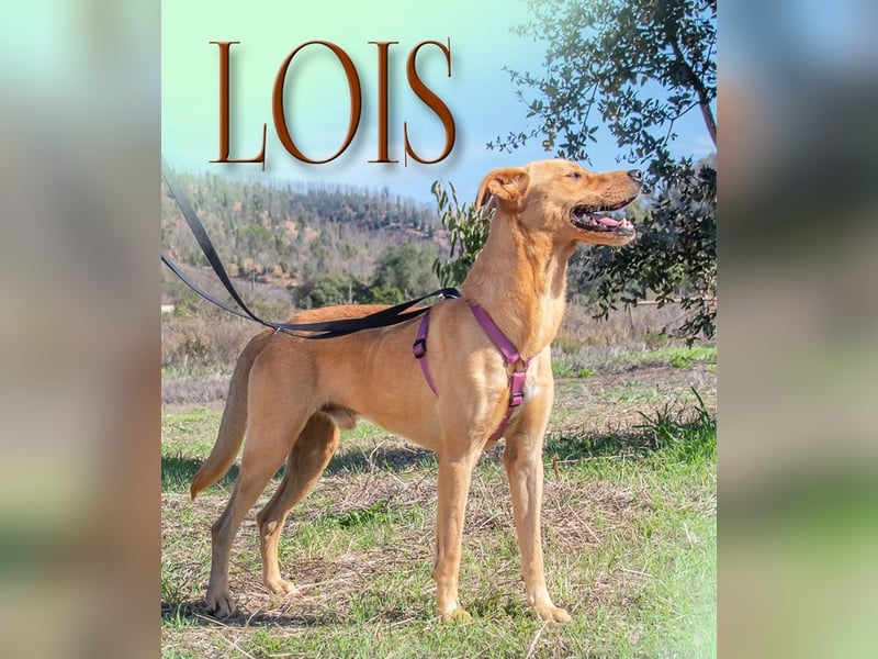 Lois – aktiv und sportlich
